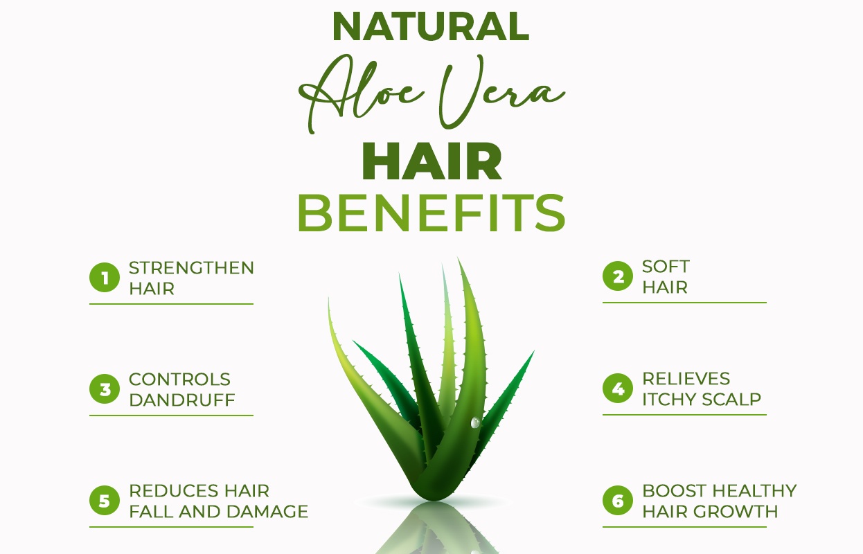 agave blu Agave 